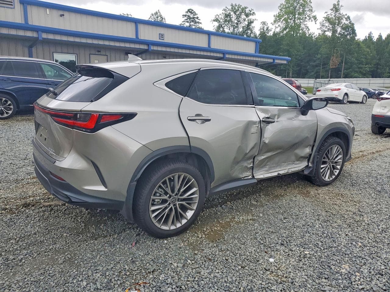 LEXUS NX 350H 2022 фото 3